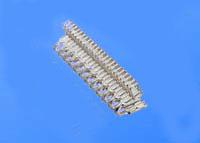 SU1400-型輸送帶扣